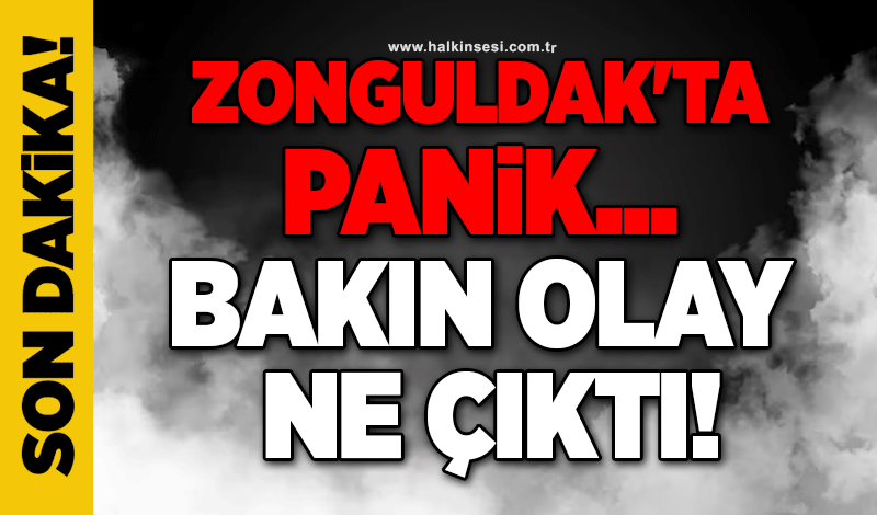 Zonguldak'ta panik... Bakın olay ne çıktı!