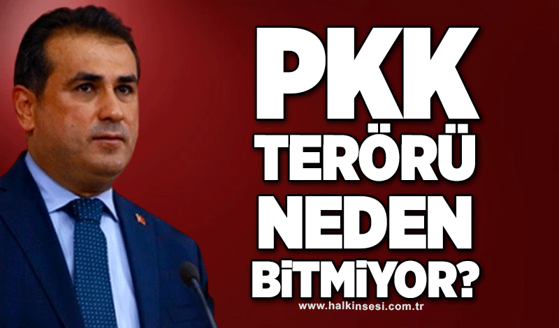 Demirtaş; “PKK Terörü neden bitmiyor”