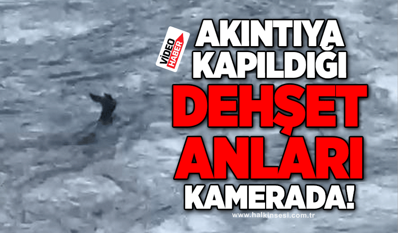 Akıntıya kapıldığı dehşet anları kamerada!