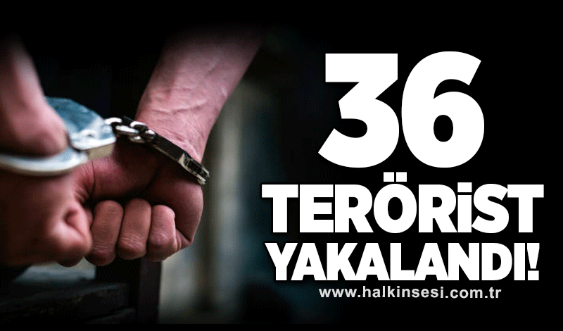 36 terörist yakalandı!