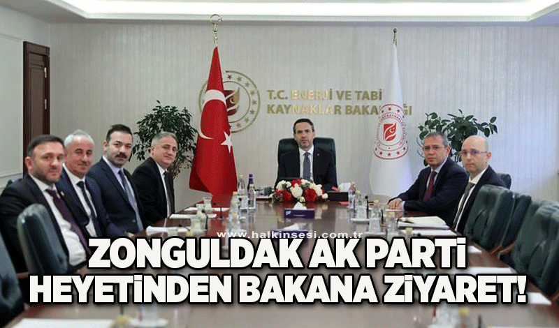 Zonguldak Ak Parti Heyetinden Bakana Ziyaret! 