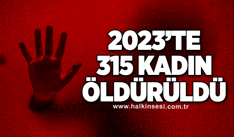 Türkiye'de 2023’te 315 kadın öldürüldü