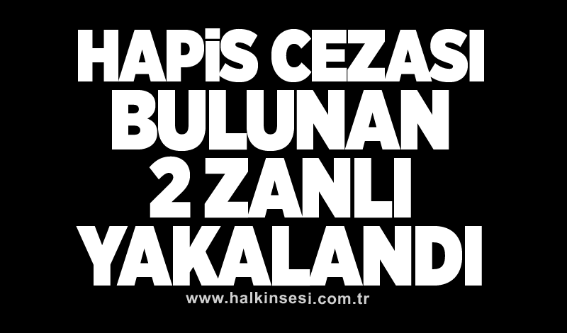 Jandarma ekipleri hapis cezası bulunan 2 zanlıyı yakaladı