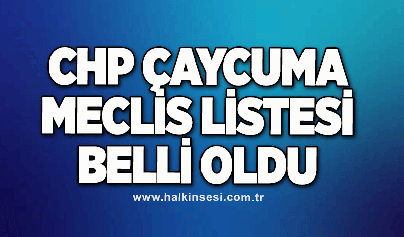 CHP Çaycuma meclis listesi belli oldu