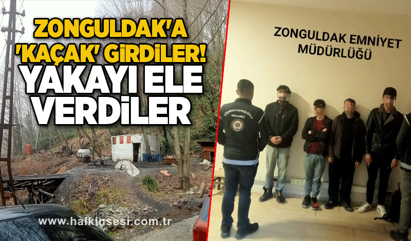Zonguldak'a 'kaçak' girdiler! Yakayı ele verdiler