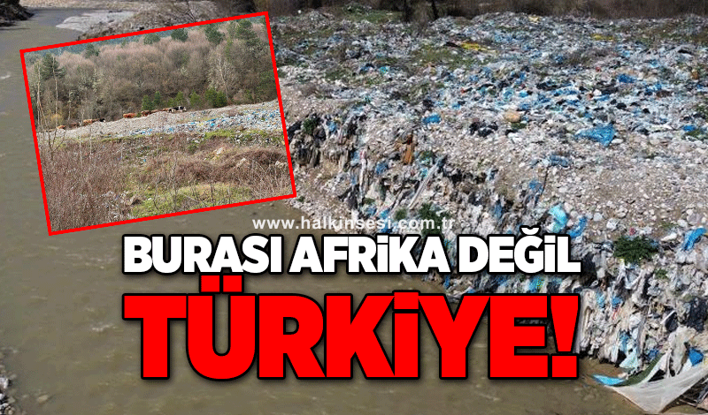 Burası Afrika değil Türkiye!