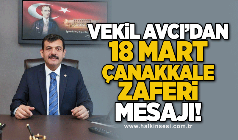 Vekil Avcı'dan 18 Mart Çanakkale Zaferi mesajı!