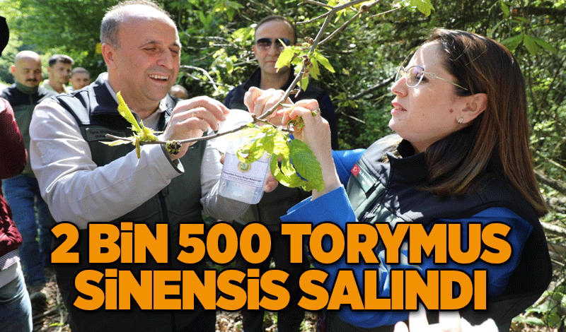 2 BİN 500 TORYMUS SİNENSİS SALINDI