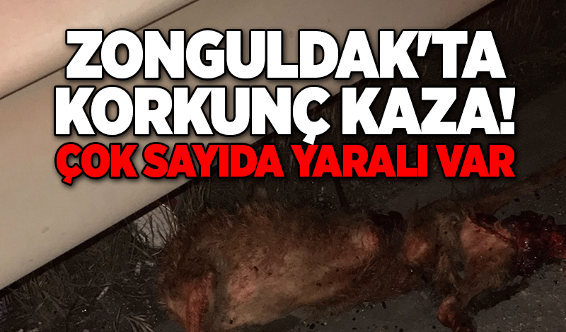 Zonguldak'ta korkunç kaza!   Çok sayıda yaralı var