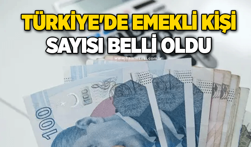 Türkiye'de emekli kişi sayısı belli oldu