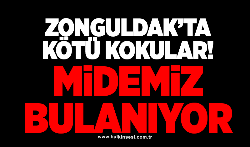 Zonguldak’ta kötü kokular! Midemiz bulanıyor