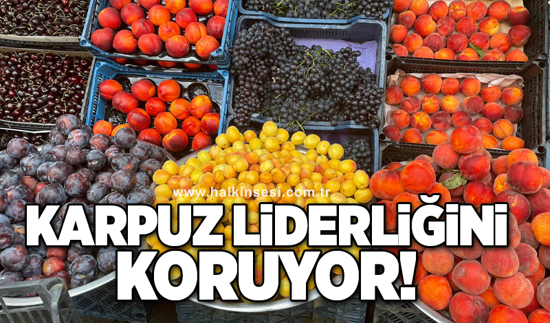 Karpuz liderliğini koruyor