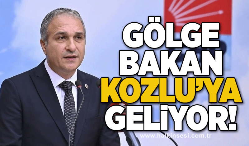 Gölge Bakan, Kozlu’ya geliyor