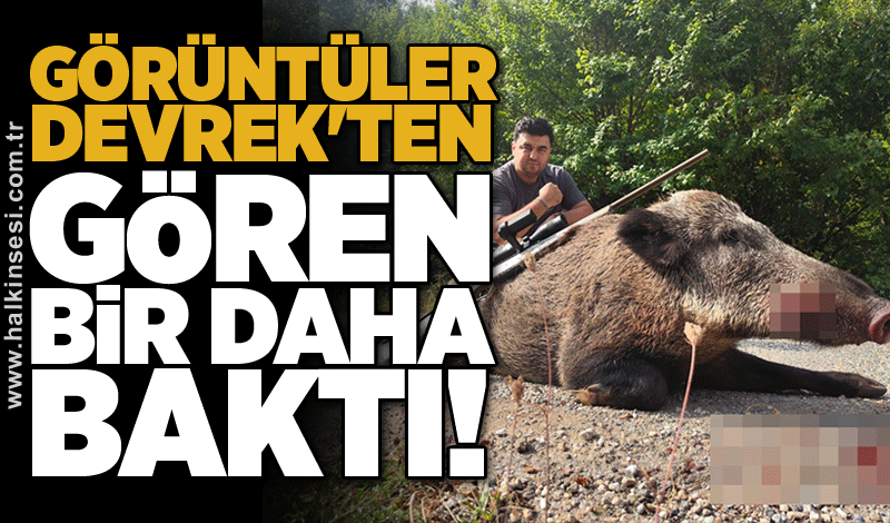 Görüntüler Devrek'ten: Gören bir daha baktı!