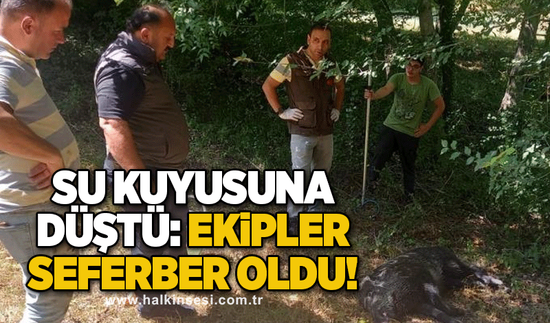 Su kuyusuna düştü! Ekipler seferber oldu!