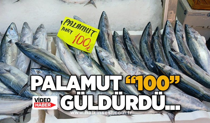 Palamut "100" güldürdü