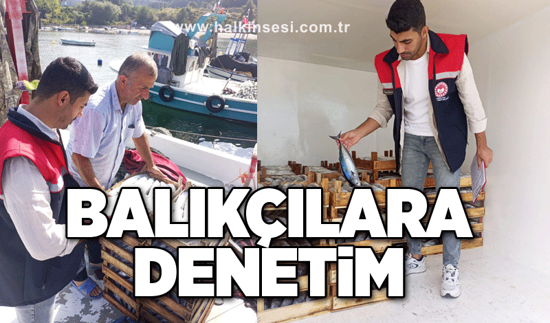 Balıkçılara denetim