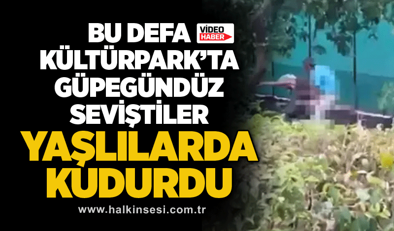 Bu defa Kültürpark’ta güpegündüz seviştiler... YAŞLILARDA KUDURDU