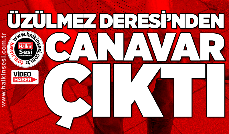 Üzülmez Deresi'nden 'canavar' çıktı!