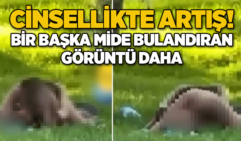 Cinsellikte artış! Bir başka mide bulandıran görüntü daha