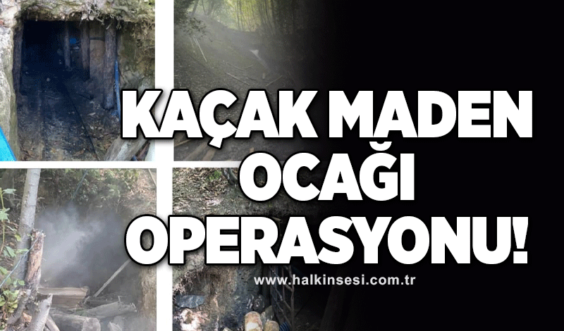 Kaçak maden ocağı operasyonu