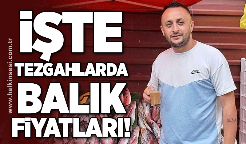 İşte tezgahlarda balık fiyatları