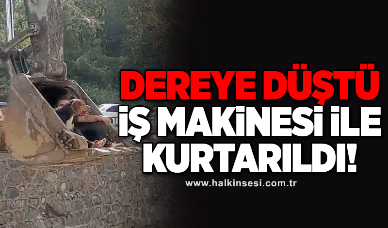 Dereye düştü, iş makinesiyle kurtarıldı!