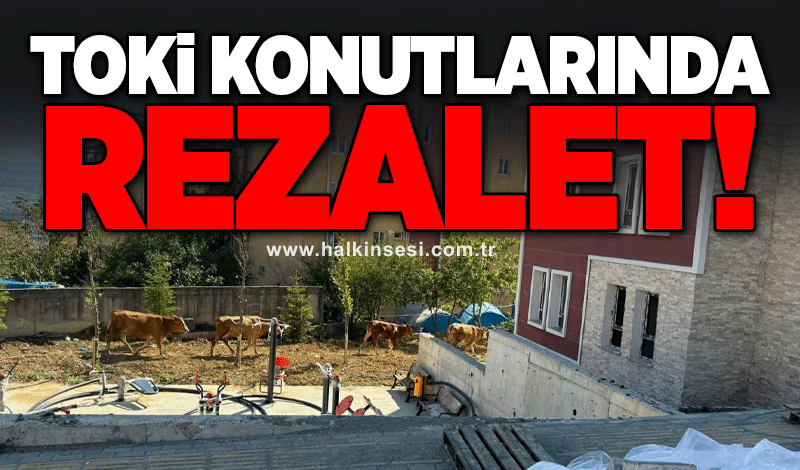 TOKİ konutlarında rezalet!