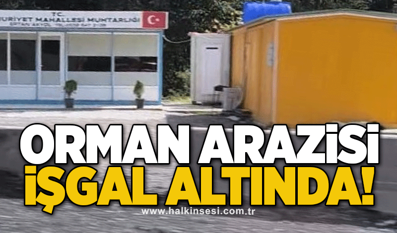 Orman arazisi işgal altında