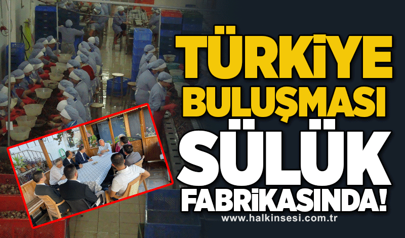 AKP Salyangoz fabrikasında buluştu!