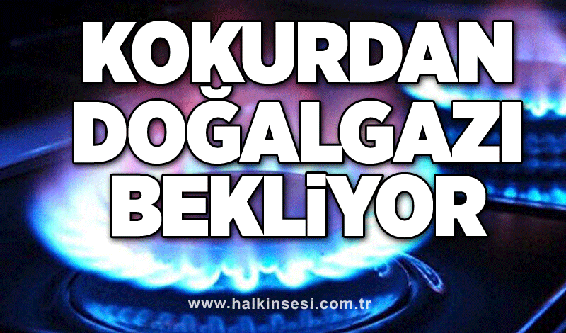 Kokurdan doğalgazı bekliyor