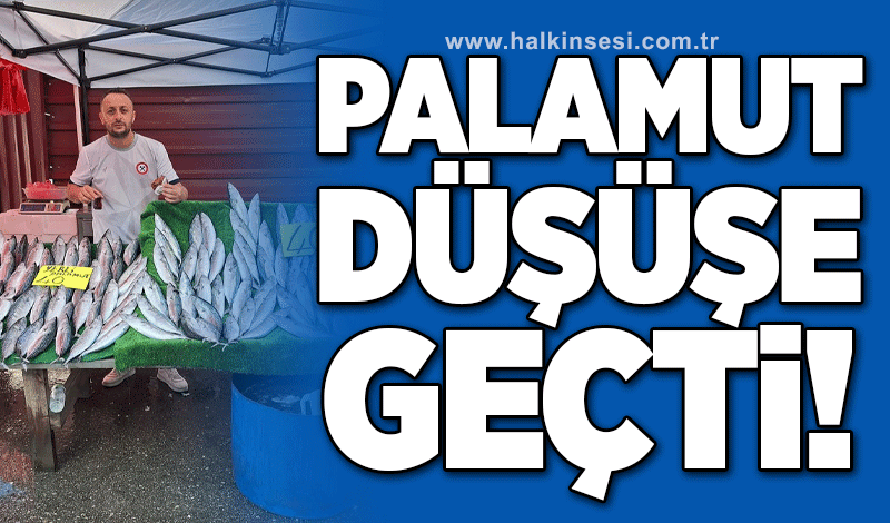 Palamut düşüşe geçti