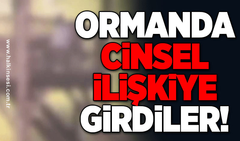 Zonguldak’ta ormanlık alanda cinsel ilişkiye girdiler!