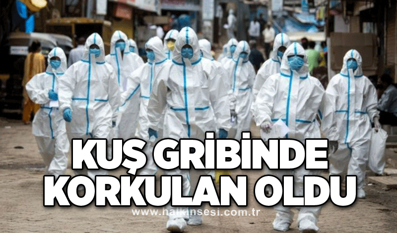 Kuş gribinde korkulan oldu