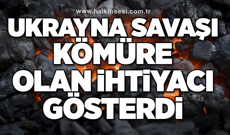 Ukrayna savaşı kömüre olan ihtiyacı gösterdi