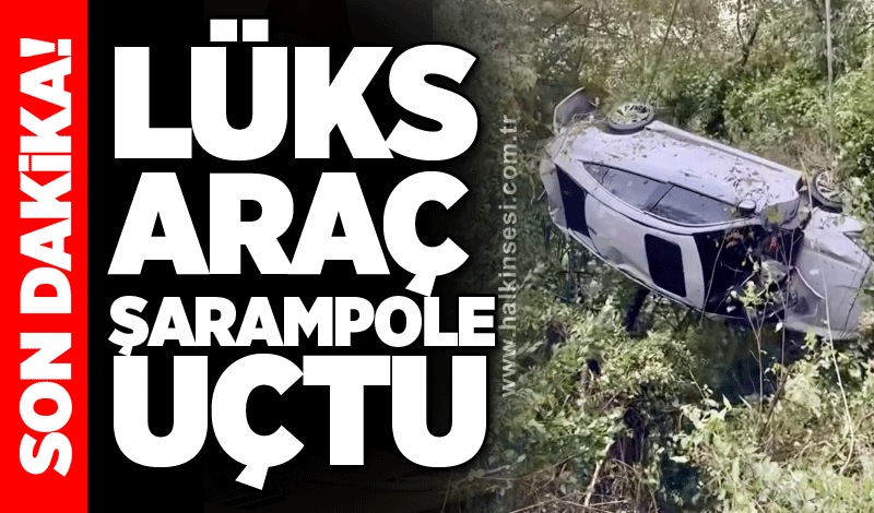 Lüks araç şarampole uçtu