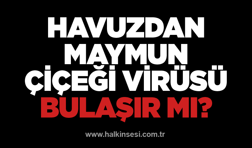 Havuzdan maymun çiçeği virüsü bulaşır mı?