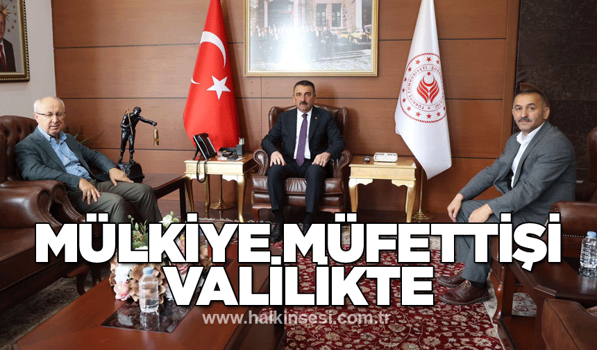 Mülkiye Müfettişi Davut Haner, Valilikte