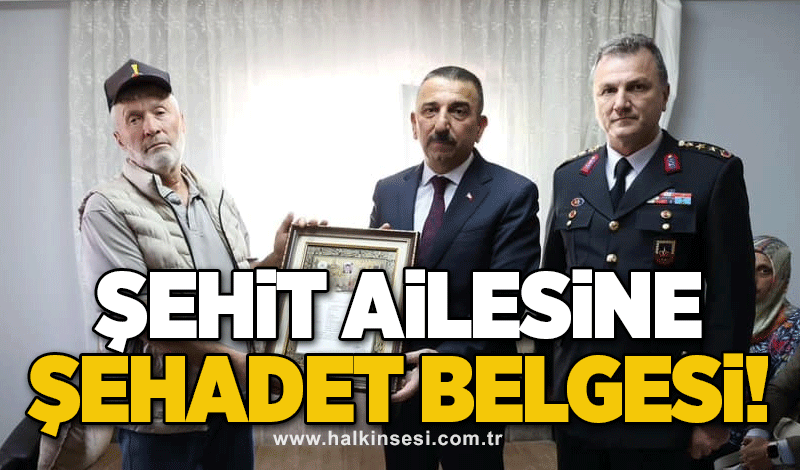 Şehit ailesine şehadet belgesi