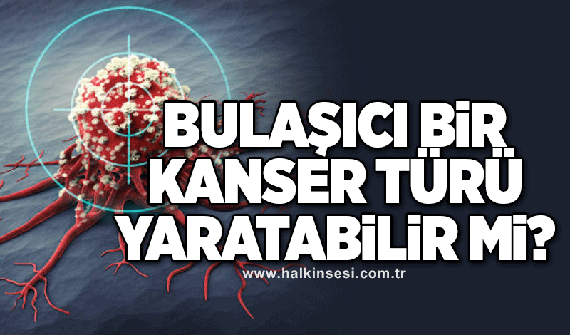 Bulaşıcı bir kanser türü yaratabilir mi?