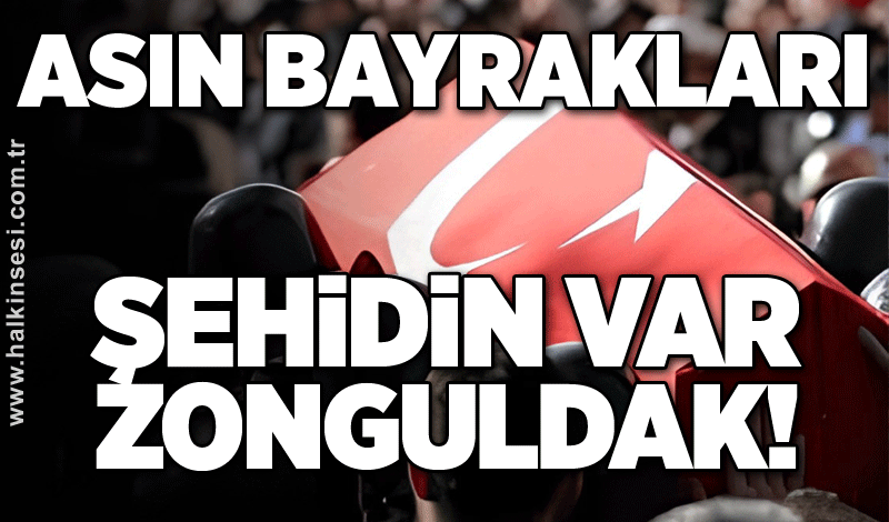 Asın bayrakları! Şehidin var Zonguldak!