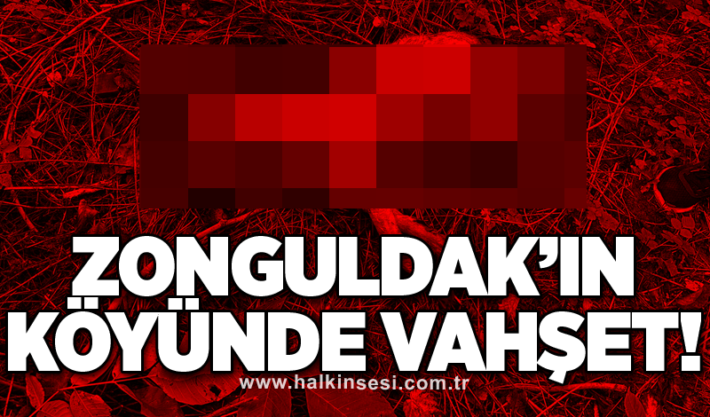 Zonguldak’ın köyünde vahşet!