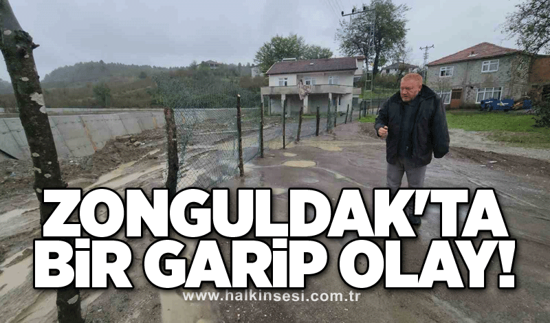 Zonguldak'ta bir garip olay!