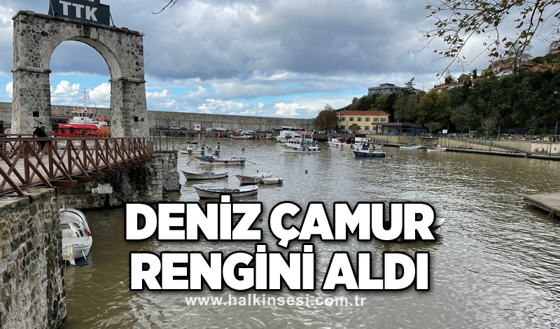 Deniz çamur rengini aldı