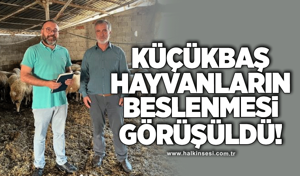 Küçükbaş hayvanların beslenmesi görüşüldü