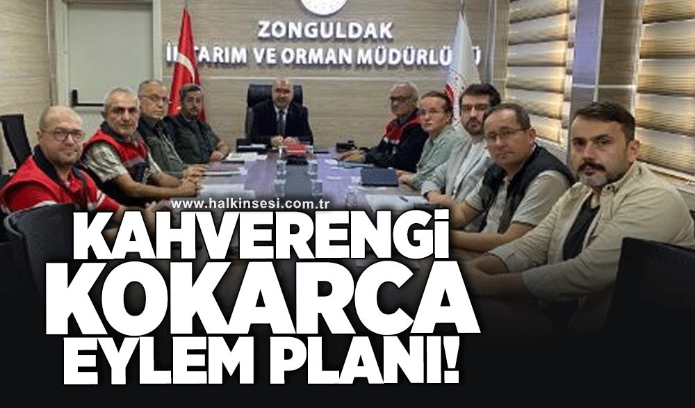 KAHVERENGİ KOKARCA EYLEM PLANI