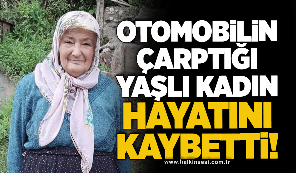 Otomobilin çarptığı yaşlı kadın hayatını kaybetti!