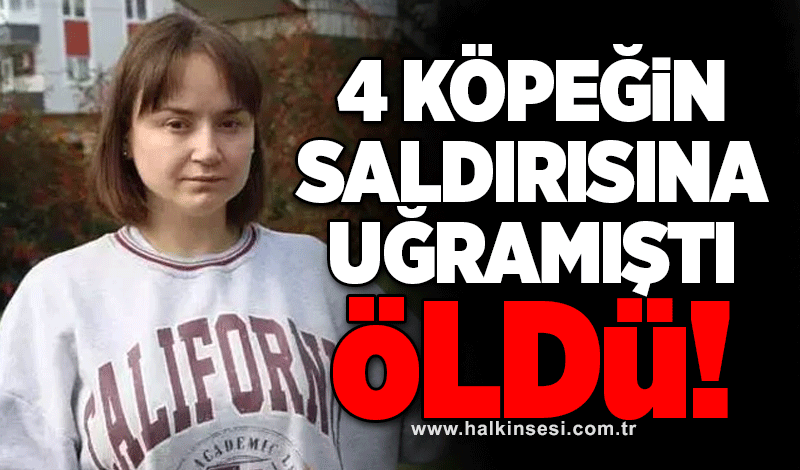 4 köpeğin saldırısına uğramıştı, öldü!