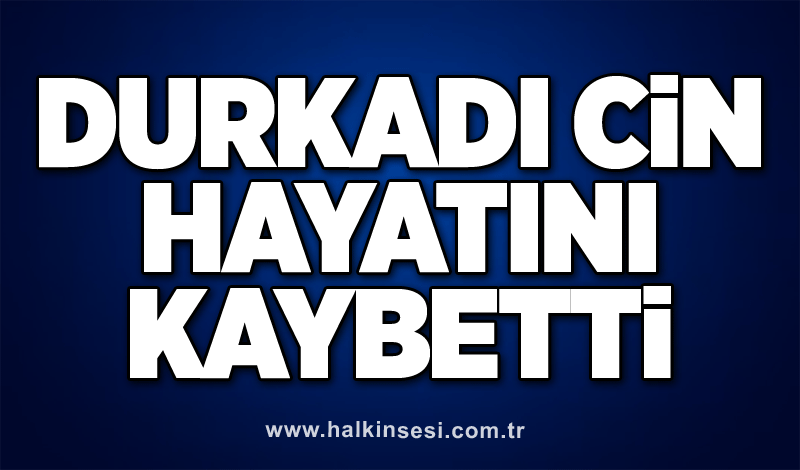 Durkadı Cin hayatını kaybetti