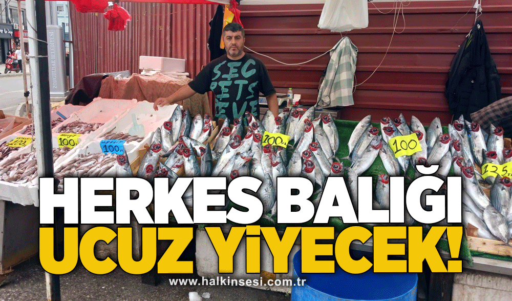 Herkes balığı ucuz yiyecek!